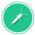 Extermination of Common Silverfish