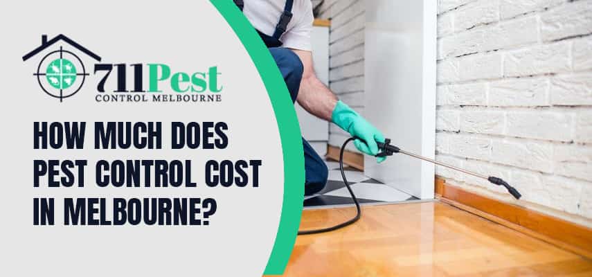 Pest Control Cost In Melbourne
