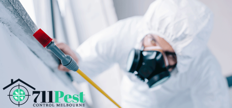 Is Pest Control Really Worth It