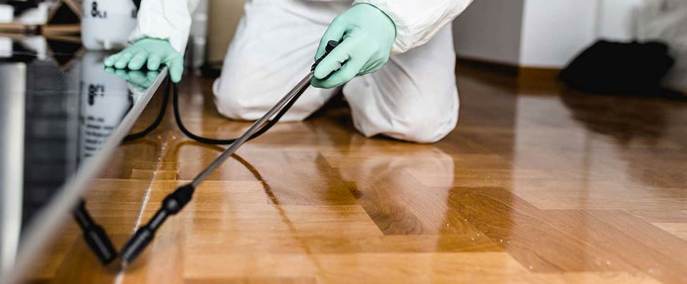 What Are The 3 Methods Of Pest Control How Professionals Deal With It